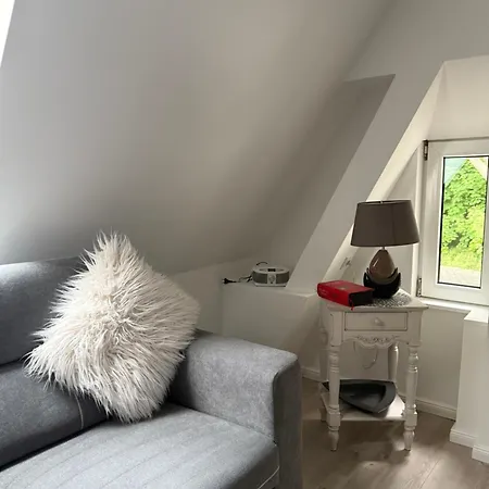 Luxury Amina Daire *