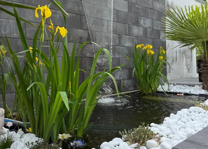 Luxury Amina * Siedlung Schonwalde